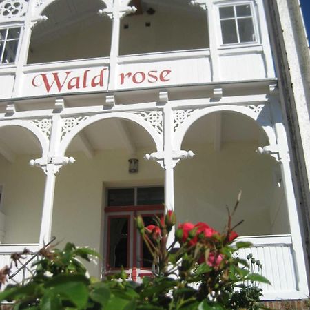 Pension Waldrose Sellin  Buitenkant foto